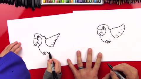 HowToDrawACartoonParrotp9