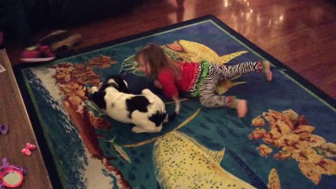 Toddler playing with a dog