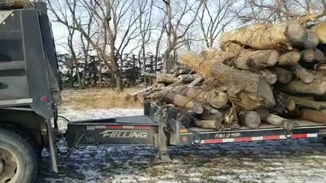 Firewood Haul