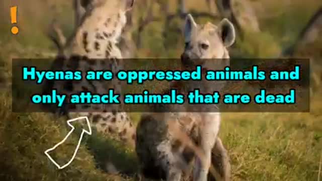 STRANGE FACT : Hyena Sniffs Out a Soggy Supper | Dynasties II | BBC Earth