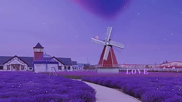 Lavender World