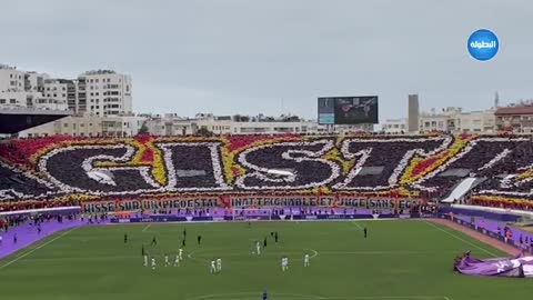 تيفو الوداد