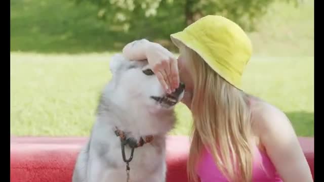 Dog training