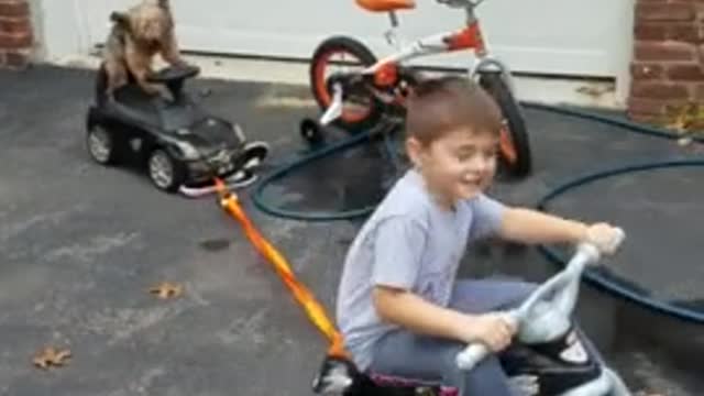 Yorkie gracefully rides toy car while towed by kid on bike. 😱