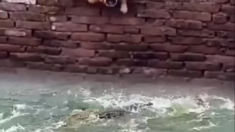 😂