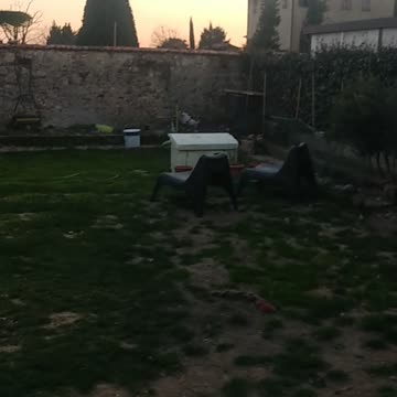 Problemi con la logica globalista sulla luna