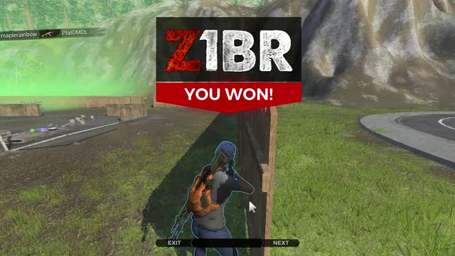 Z1 Battle Royale