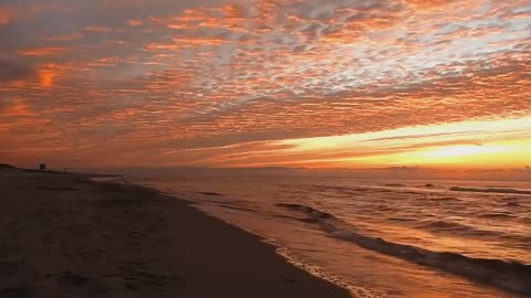 Background Video Nature Sunset Beach