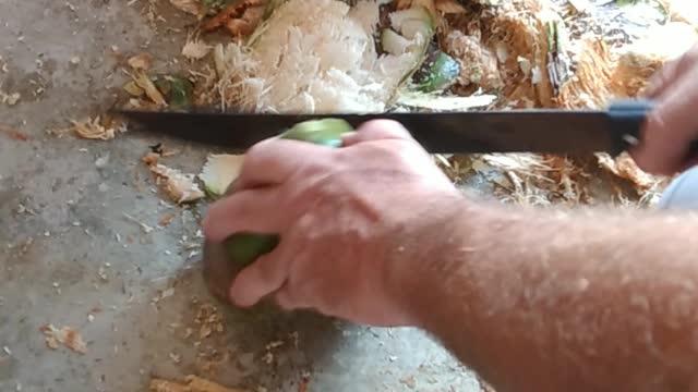 He must try harder...