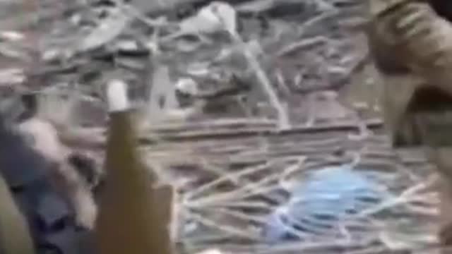 Chechen special force in Ukraine