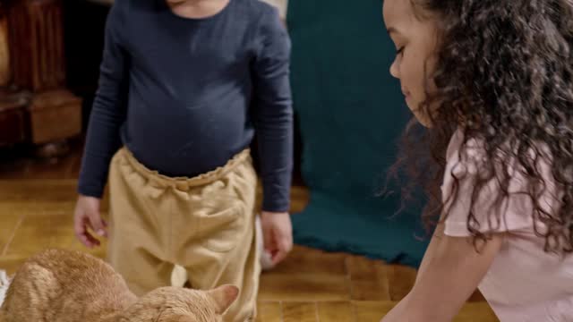 Kids Playing With Their Cat On A Skateboard