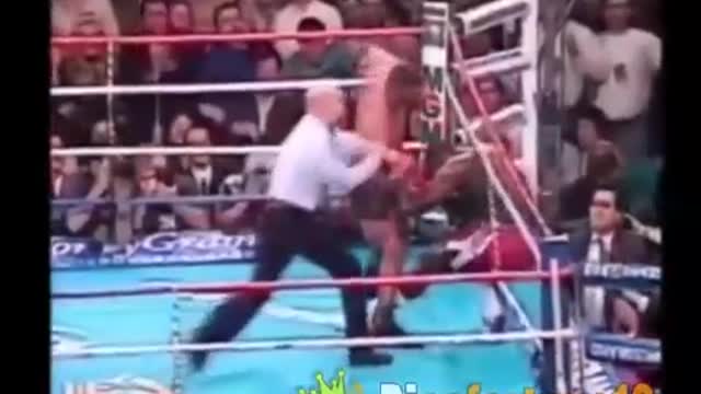 MIKE TYSON KNOCKOUTS