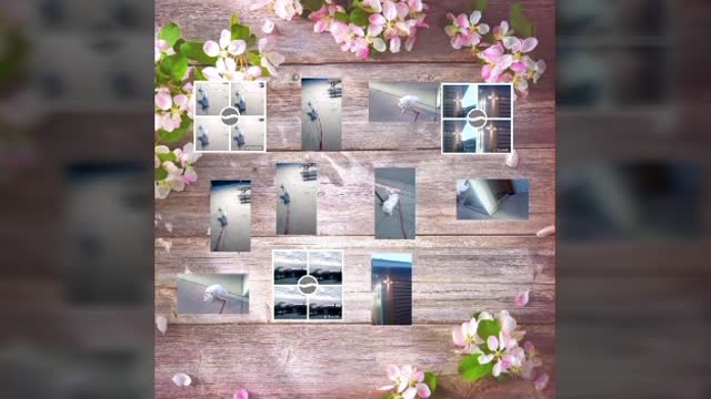 today video