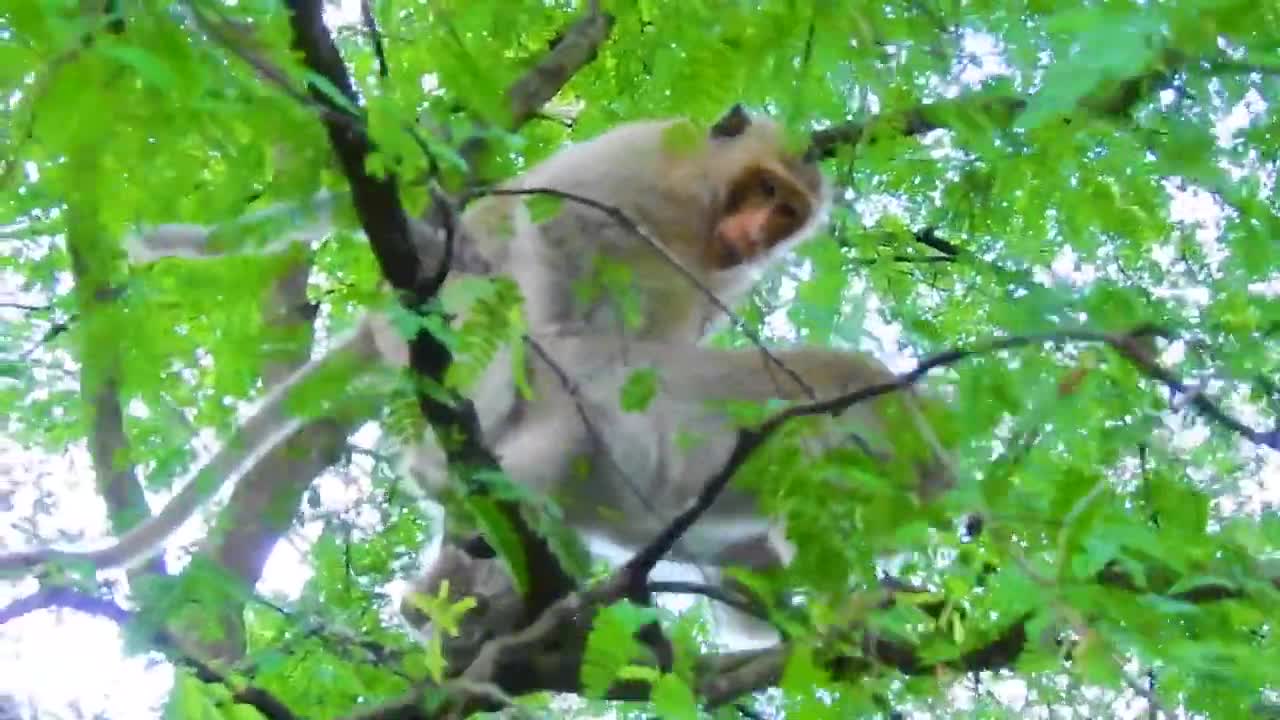 NICE TO SEE YOU MY FRIEND