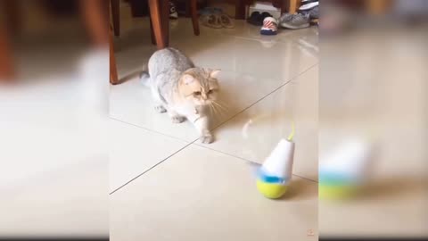 ❤️❤️❤️ cute..
