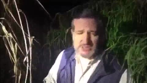 Senator Ted Cruz, Describe Conditions at the Border