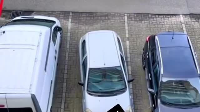 Parking a car in reverse