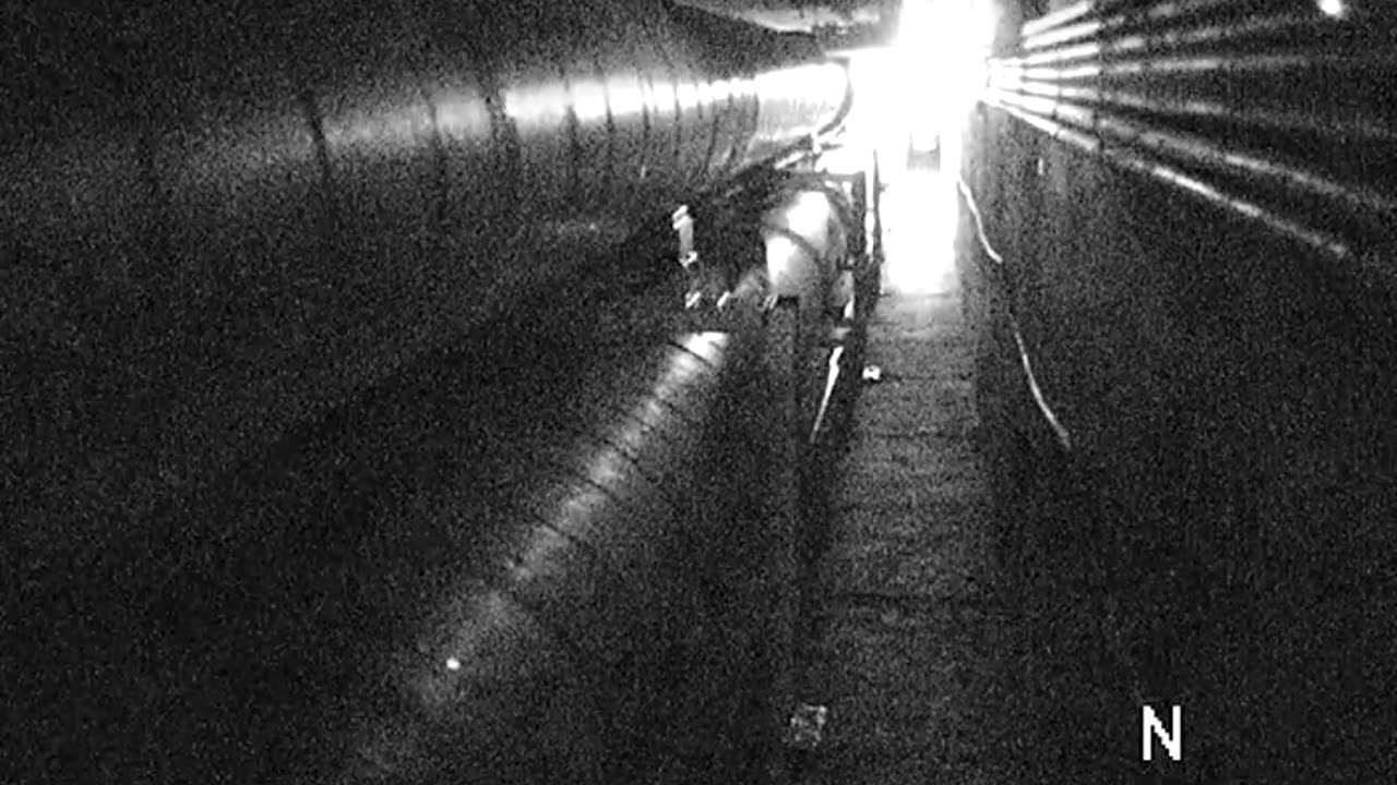 8506TUNN00VioletTunnel0950_2021-01-06_04h00min24s787ms.mp4