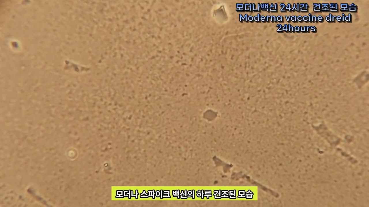 니코틴과 백신 혼합결과 1