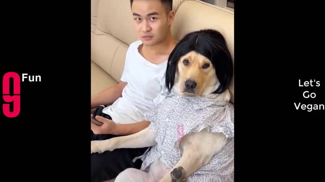 Funny Video Compilation 2022