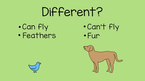 Comparing animal dog