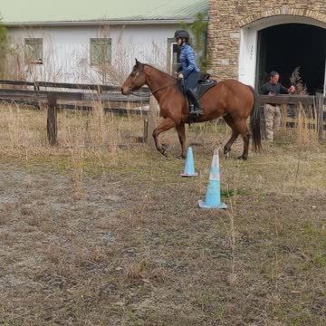 My Horse Oliver Cantering for the first time