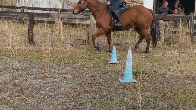 My Horse Oliver Cantering for the first time