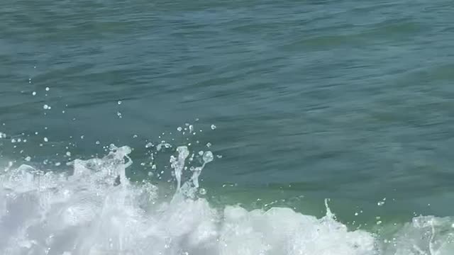 Beach Swimming Along Close to Shore