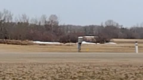 Birds cover the field, looks like snow.