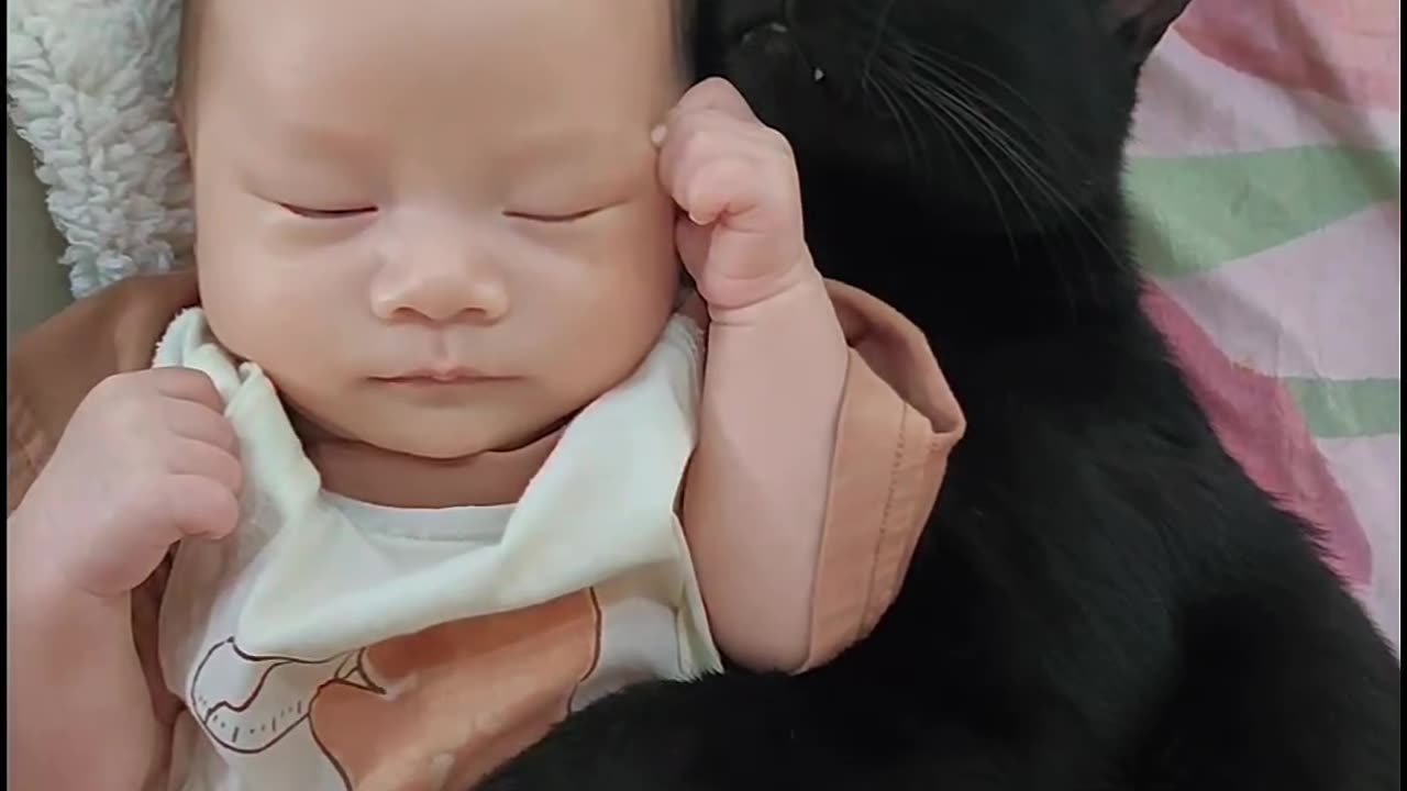 True Love: Cat and Baby Sleeping Together - Heartwarming!