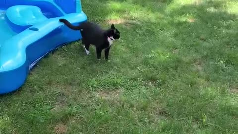 Madeline prefers pool water