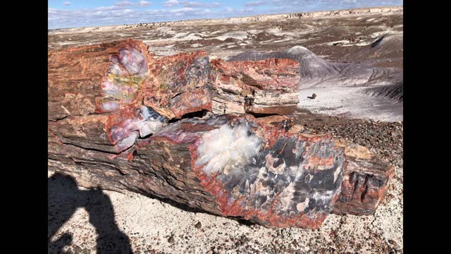 Desert Southwest Trip - Day 5 - Petrified Forest and Painted Desert