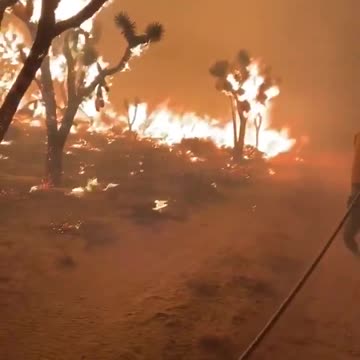 Firefighters fight to put out Dome Fire in Mojave National Preserve