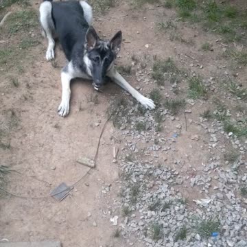 Getting ready part one of many parts