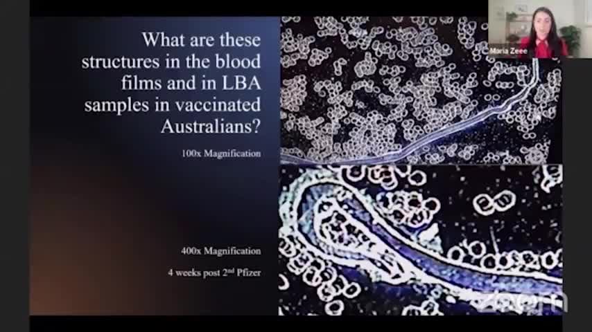 EXCLUSIVE: Australian Whistleblower Scientists Provide Evidence of Nanotech & Graphene Oxide