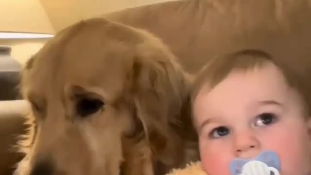 Dog mom's love for baby