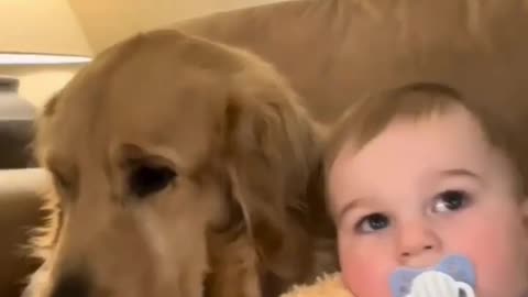 Dog mom's love for baby