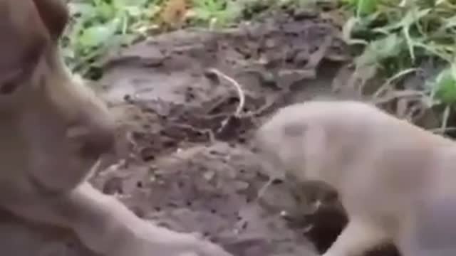 Leave Me Alone with funny moments