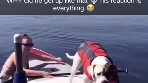 Funny and Cute compilation | Cute compilation. #shorts