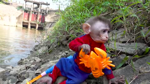 Little Monkey BinBin goes fishing seafood so cute