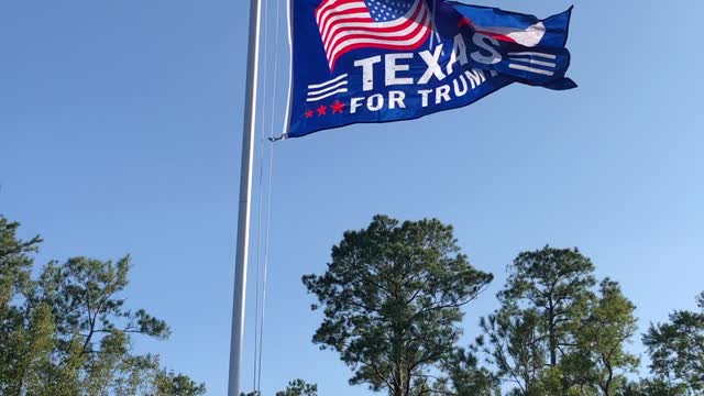 Flying High and Proud. Texans for Trump.