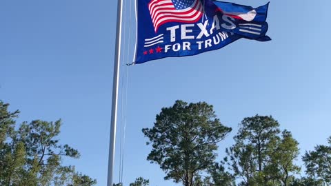 Flying High and Proud. Texans for Trump.