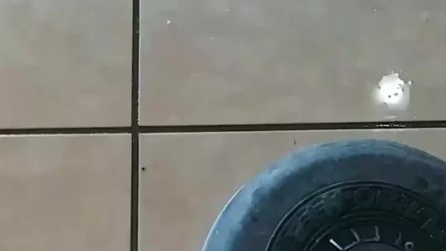 Adam demonstrates tile and grout cleaning