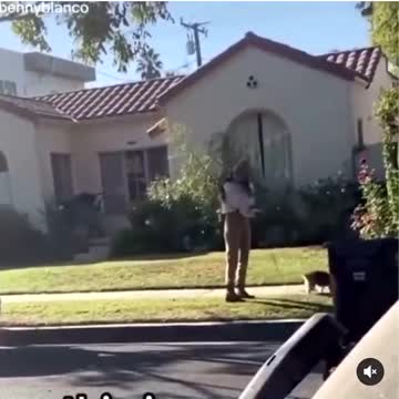 White countries need immigration because we need diversity