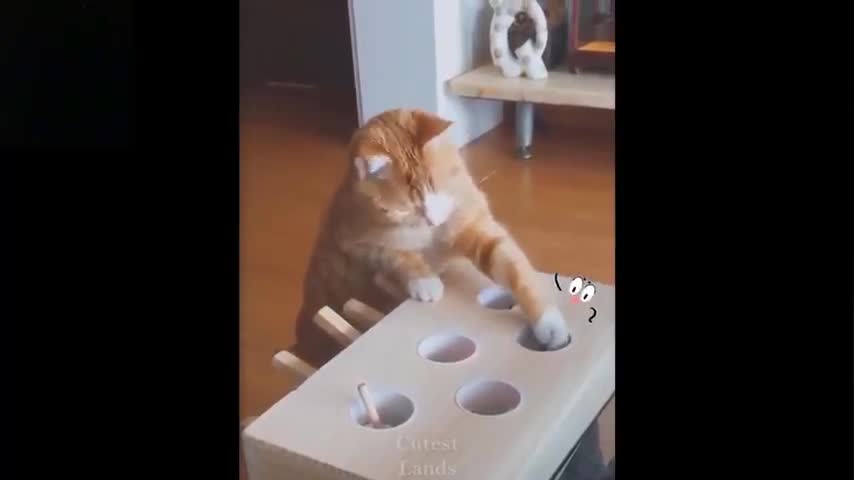 Funny and cute animal compilation part 18