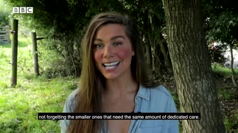 Small Creatures In Need of Care | Wild Rescue | BBC Earth