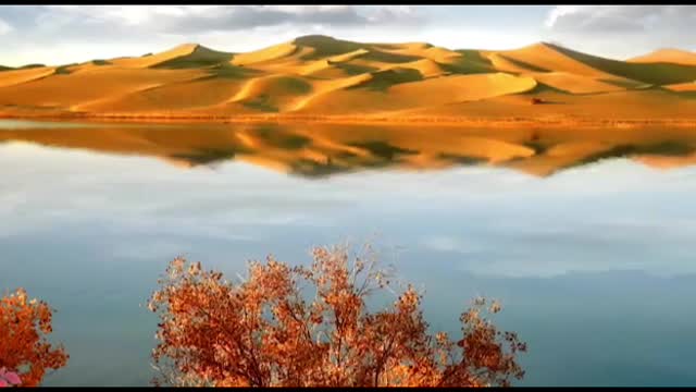 the lost landscape