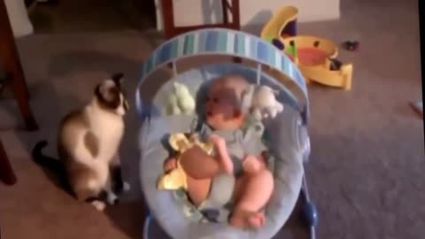 Cute cat and baby compilation