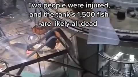 One of the world's largest fish tanks exploded