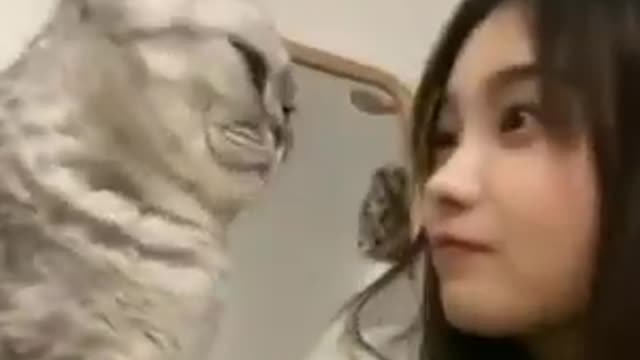 Cat Headbutt, Lovely Girl With Cute Cat